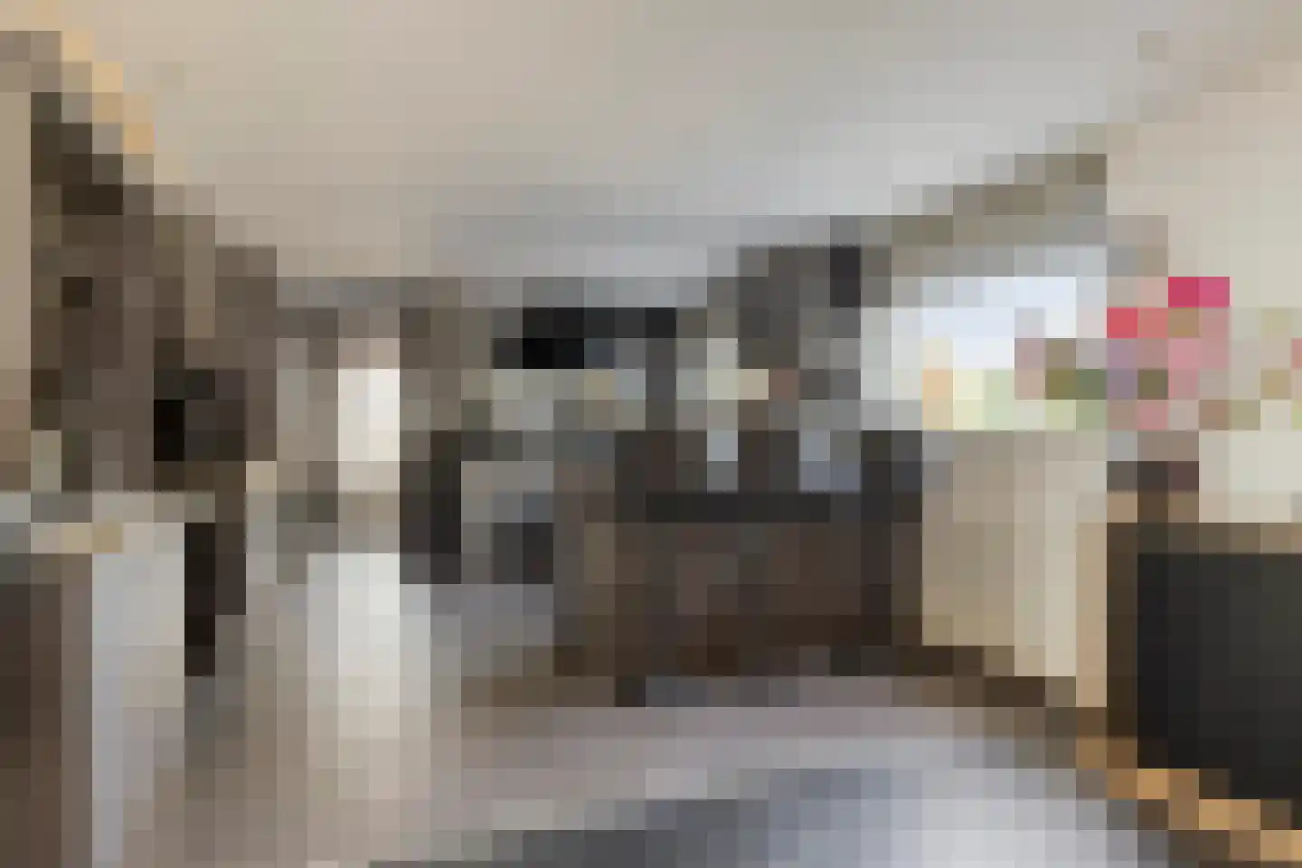 Rijksweg 41 Nieuw-Vossemeer thumbnail 23
