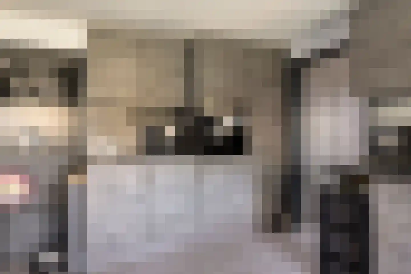 Rijksweg 41 Nieuw-Vossemeer thumbnail 24