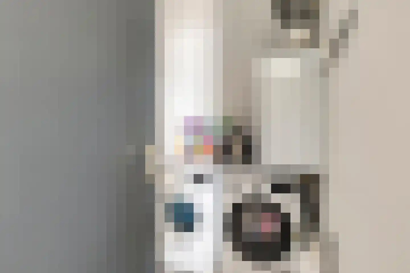 Rijksweg 41 Nieuw-Vossemeer thumbnail 32