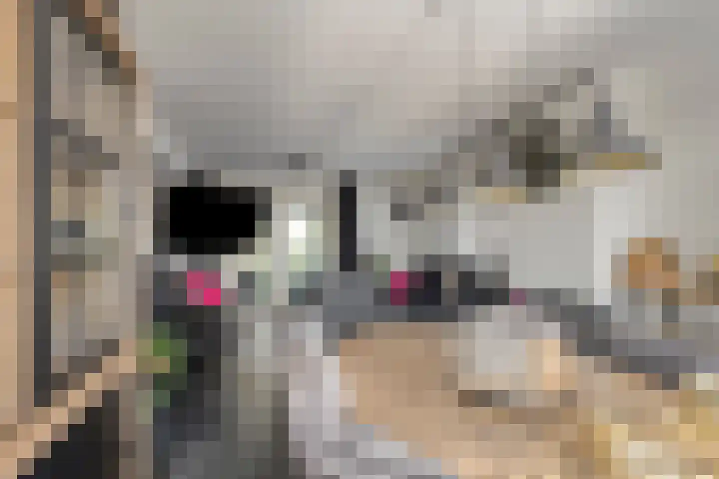 Rijksweg 41 Nieuw-Vossemeer thumbnail 4