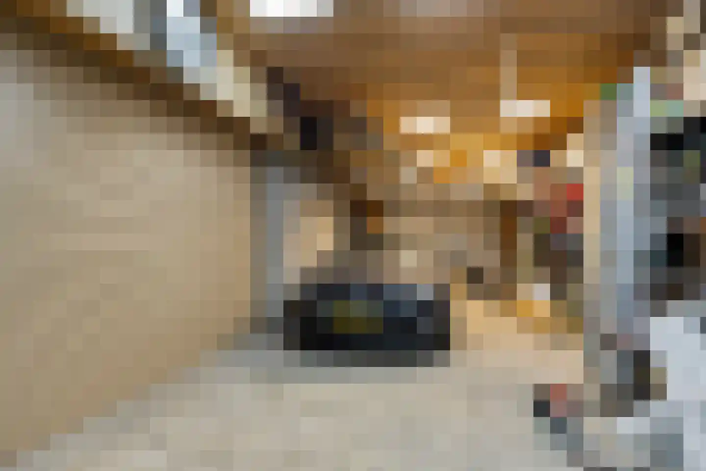 Rijksweg 41 Nieuw-Vossemeer thumbnail 52