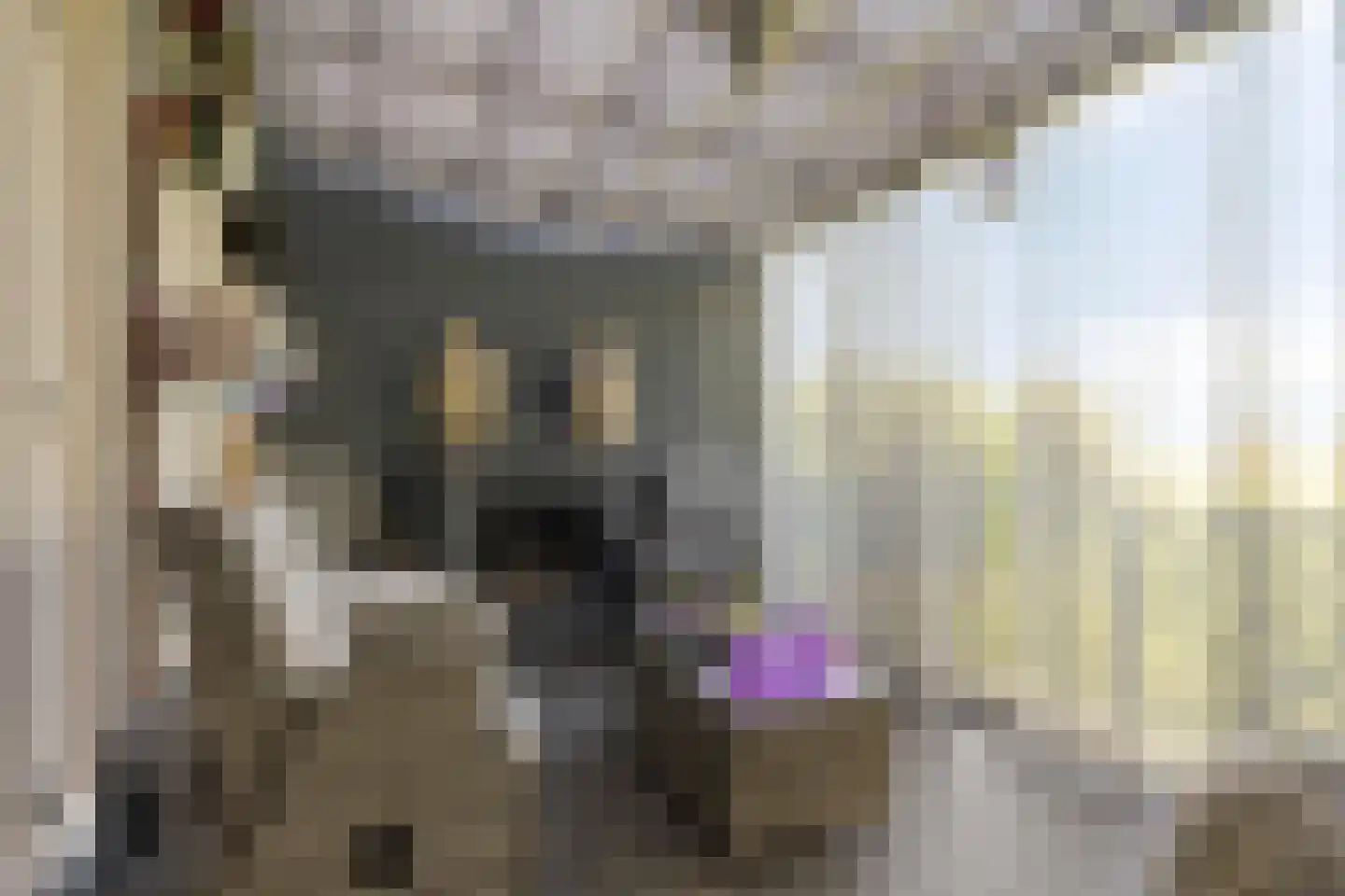 Rijksweg 41 Nieuw-Vossemeer thumbnail 56