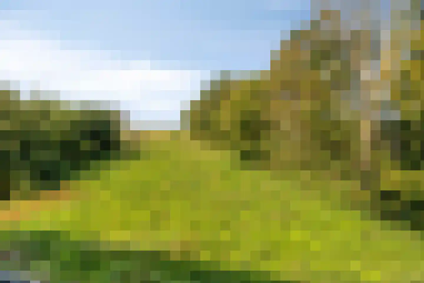 Rijksweg 41 Nieuw-Vossemeer thumbnail 68