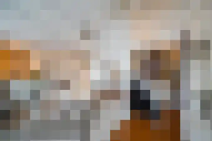 Rijksweg 43 A Sint Maartensvlotbrug thumbnail 12