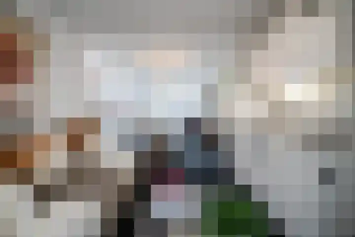Rijksweg 43 A Sint Maartensvlotbrug thumbnail 45
