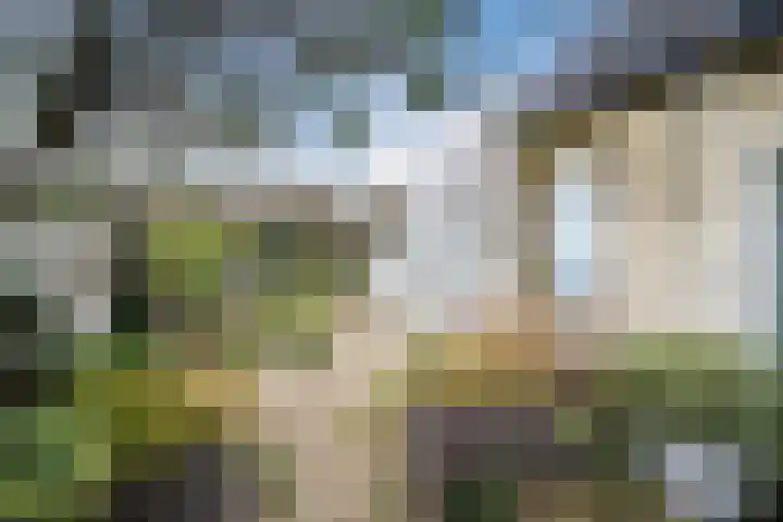 Rijksweg 43 A Sint Maartensvlotbrug thumbnail 55