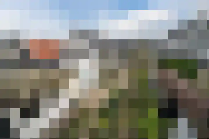Rijksweg 43 A Sint Maartensvlotbrug thumbnail 65