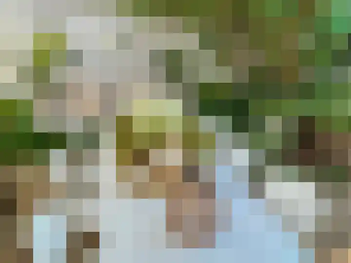 Rijksweg 43 A Sint Maartensvlotbrug thumbnail 66