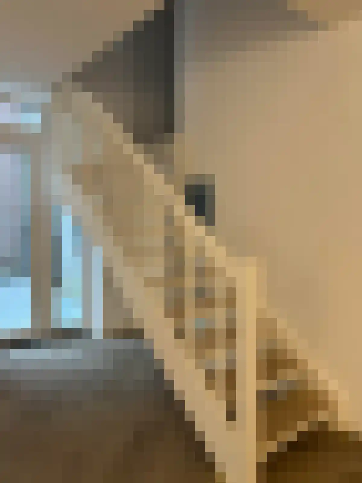 Rijksweg 43 Gulpen thumbnail 6