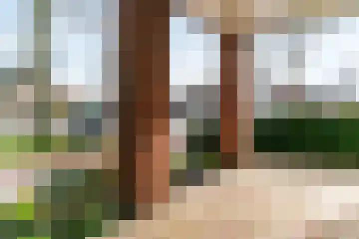 Rijksweg 43 Limmen thumbnail 10