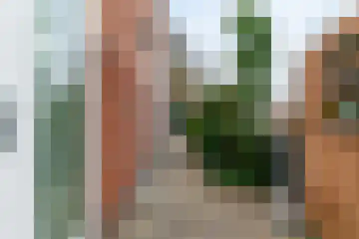 Rijksweg 43 Limmen thumbnail 23