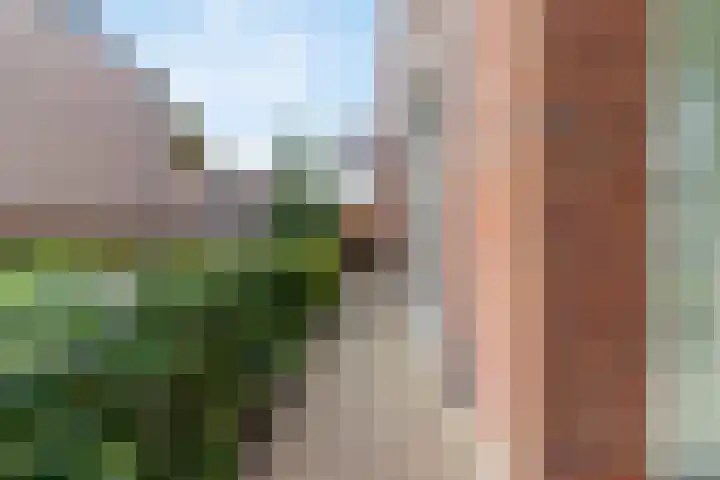 Rijksweg 43 Limmen thumbnail 24