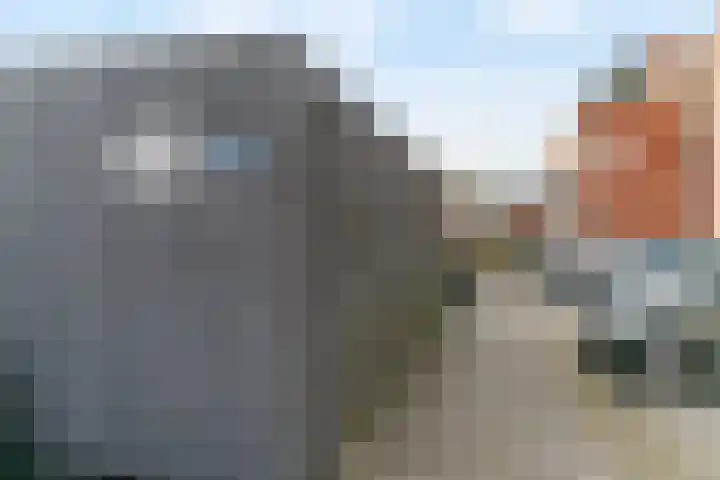 Rijksweg 43 Limmen thumbnail 37