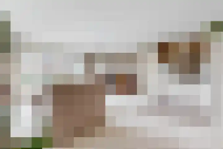 Rijksweg 43 Limmen thumbnail 4
