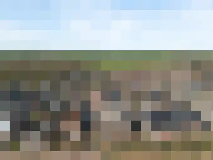 Rijksweg 43 Limmen thumbnail 41