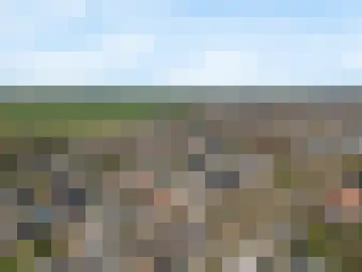 Rijksweg 43 Limmen thumbnail 42