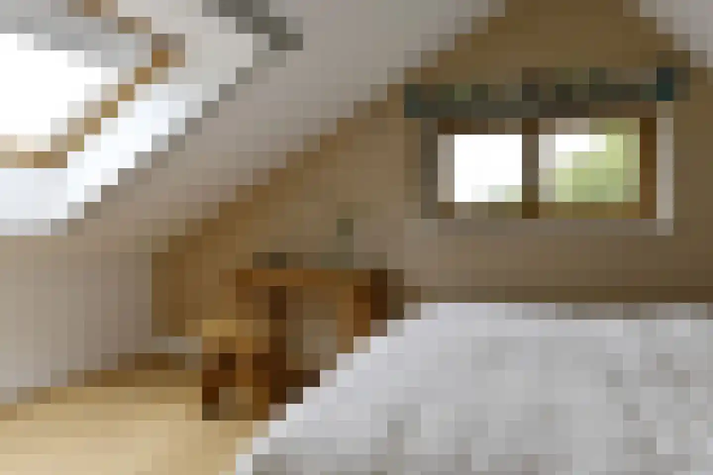 Rijksweg 44 A Drempt thumbnail 19