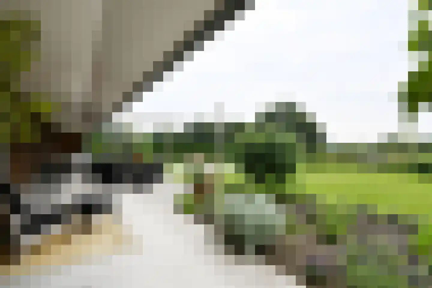 Rijksweg 44 A Drempt foto 2