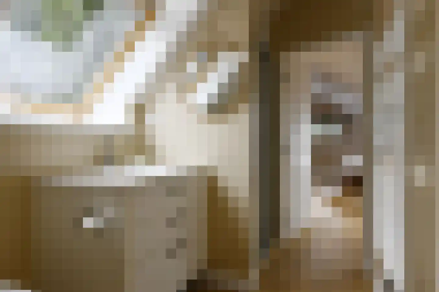 Rijksweg 44 A Drempt thumbnail 21