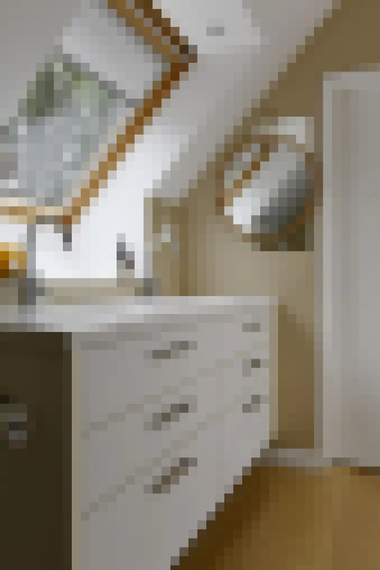 Rijksweg 44 A Drempt thumbnail 23