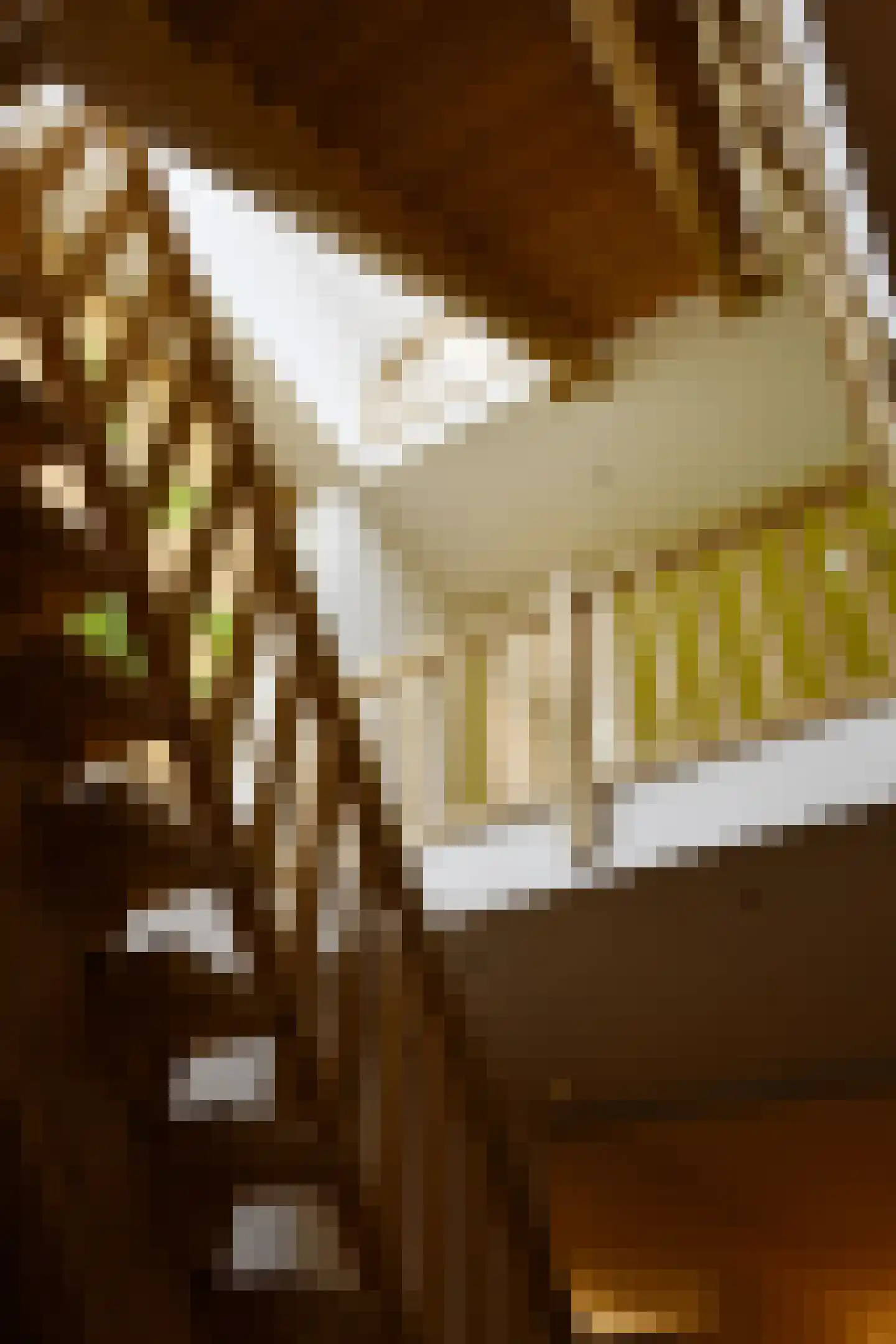 Rijksweg 44 A Drempt thumbnail 26