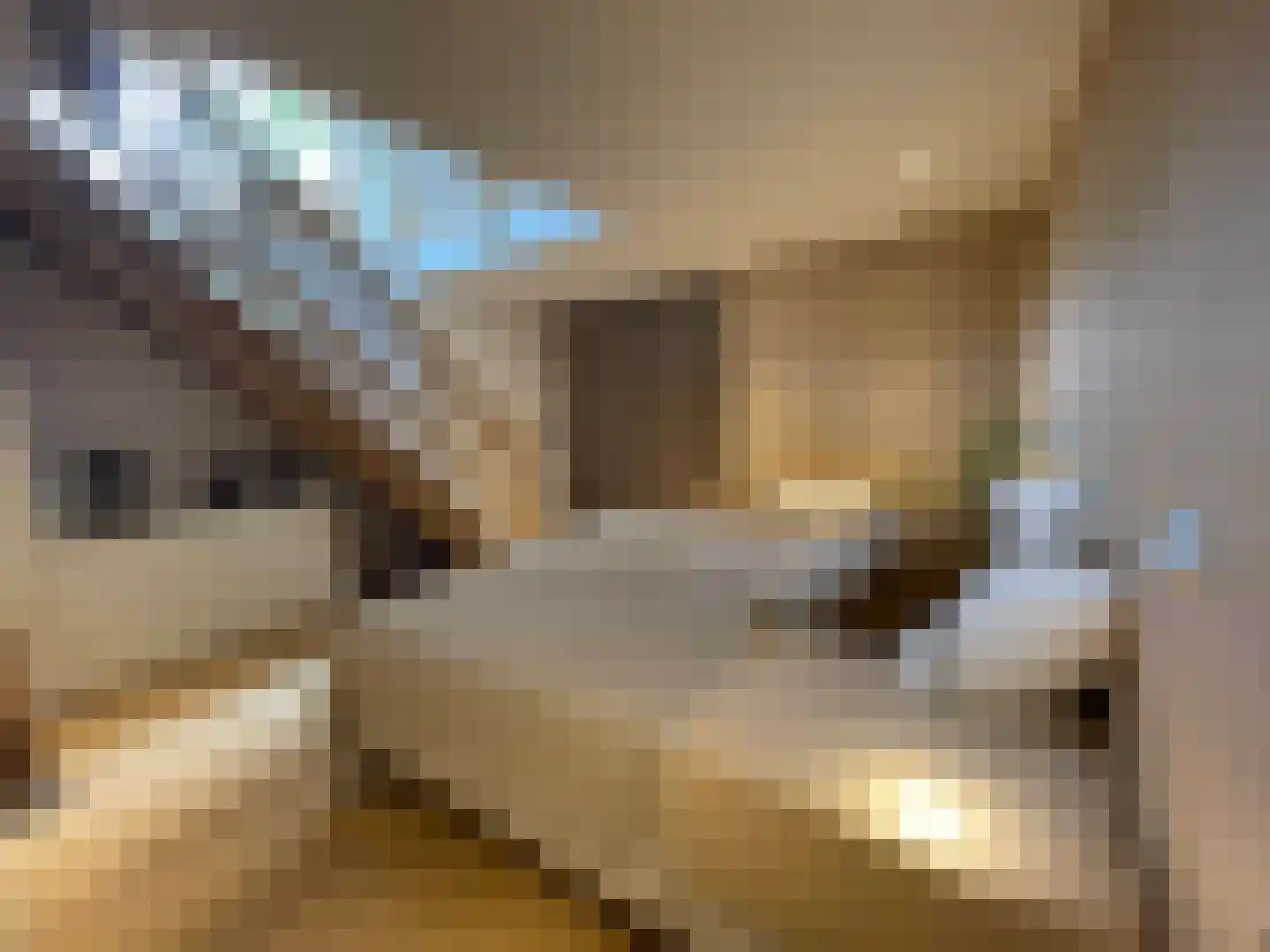 Rijksweg 44 A Drempt thumbnail 29