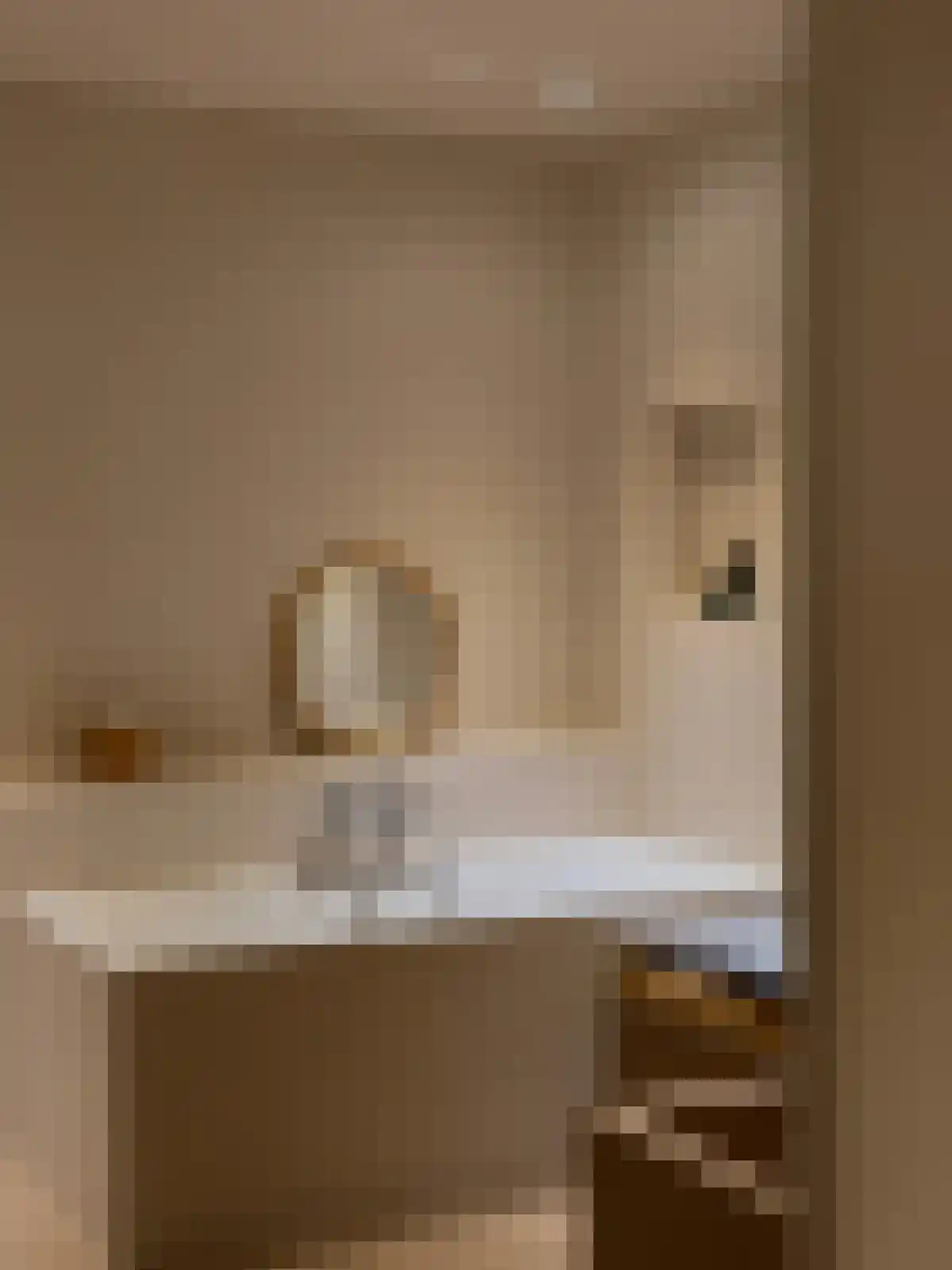 Rijksweg 44 A Drempt thumbnail 32