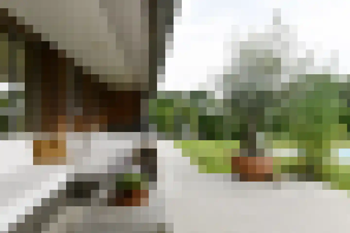 Rijksweg 44 A Drempt thumbnail 33