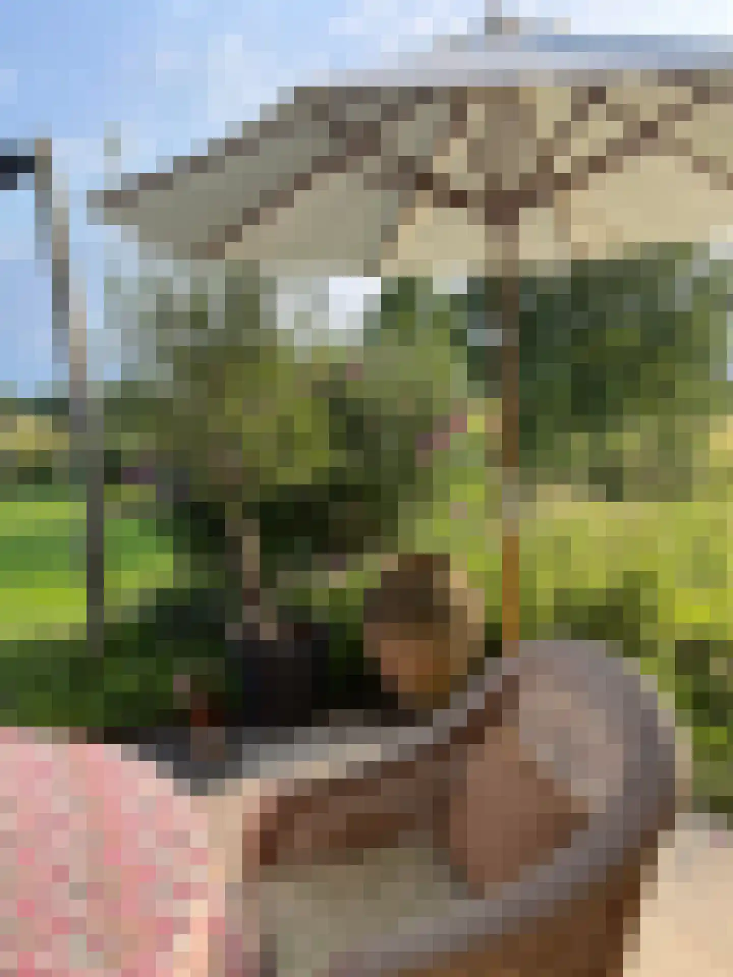 Rijksweg 44 A Drempt thumbnail 41
