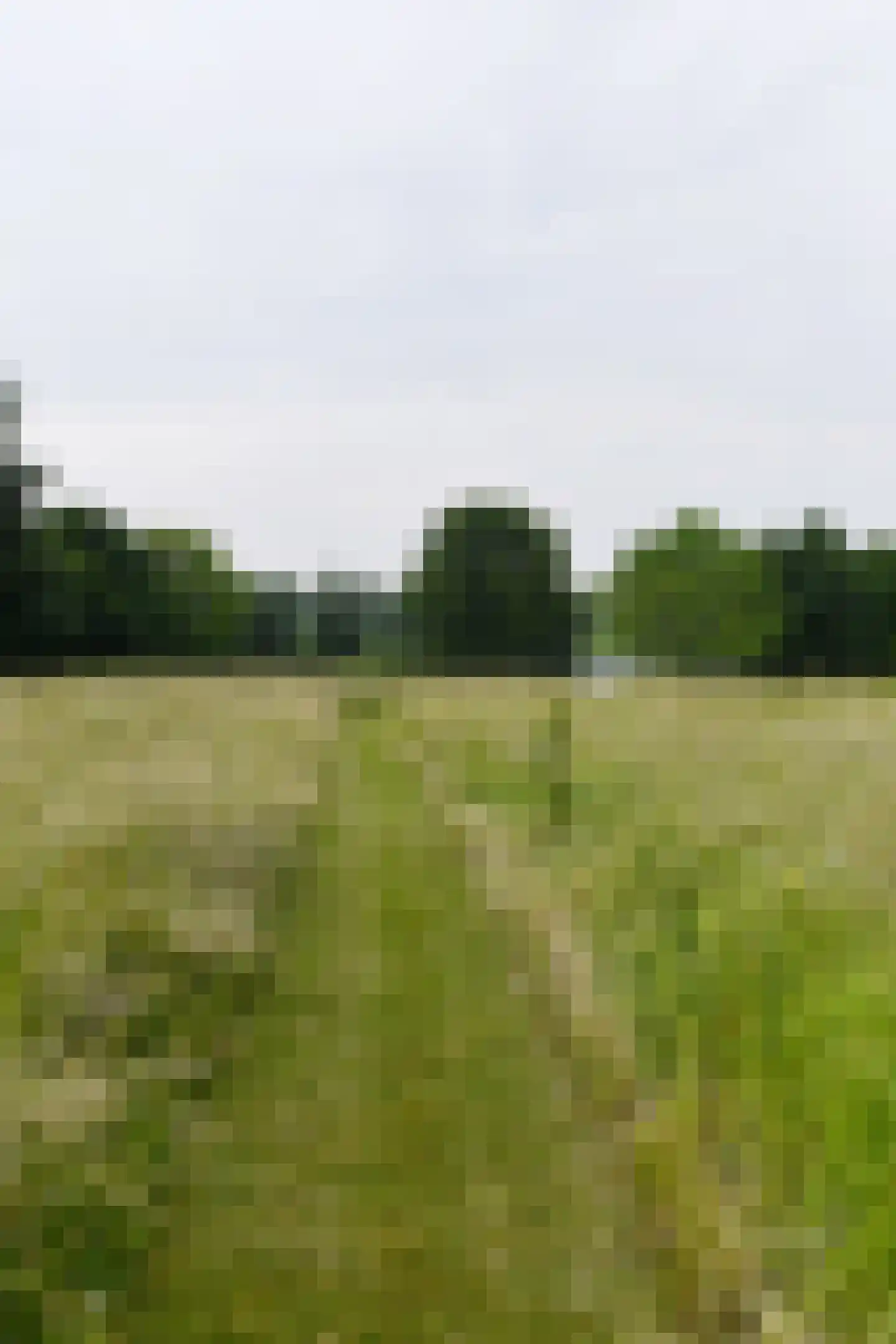 Rijksweg 44 A Drempt thumbnail 52