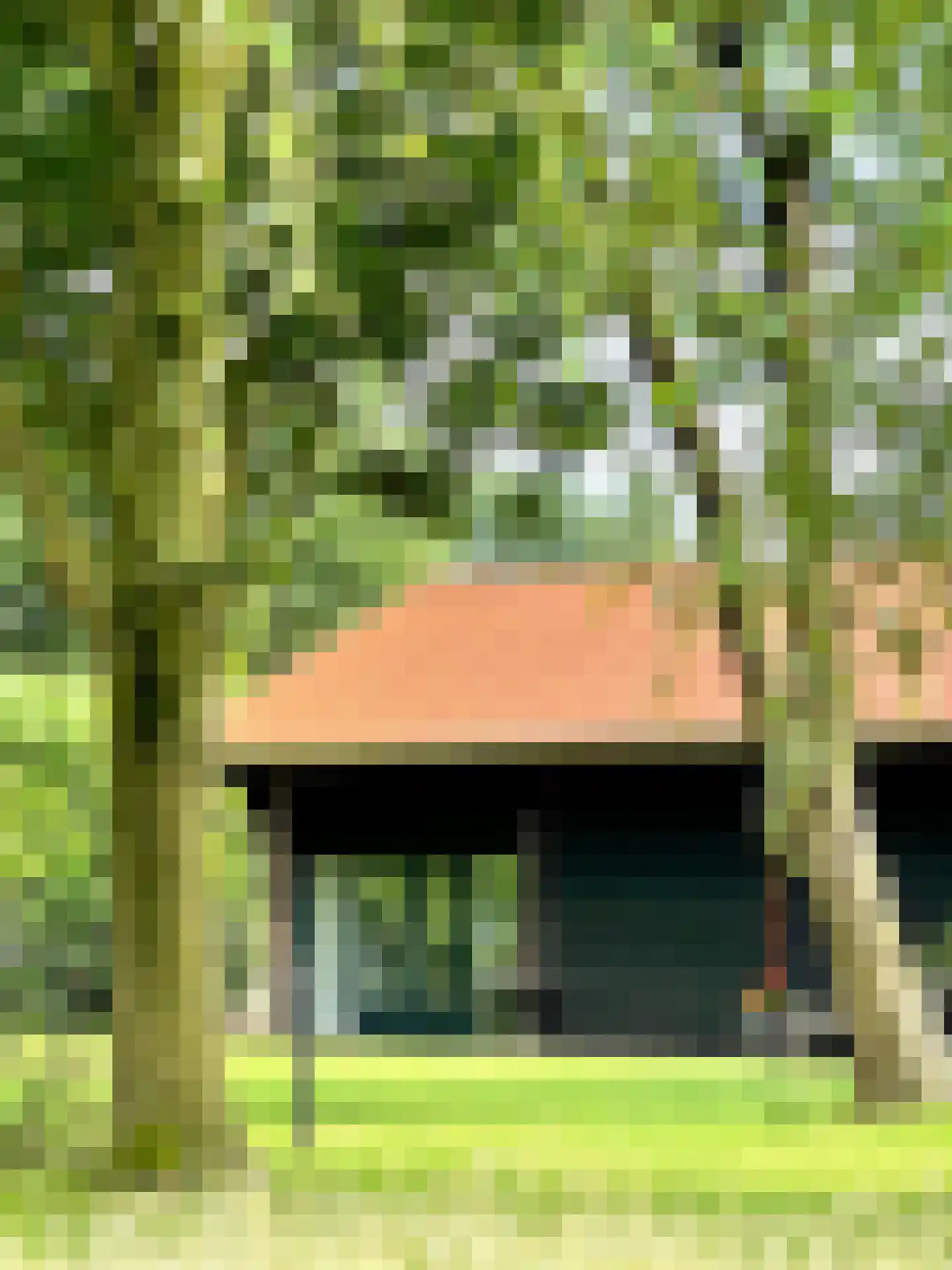 Rijksweg 44 A Drempt thumbnail 53