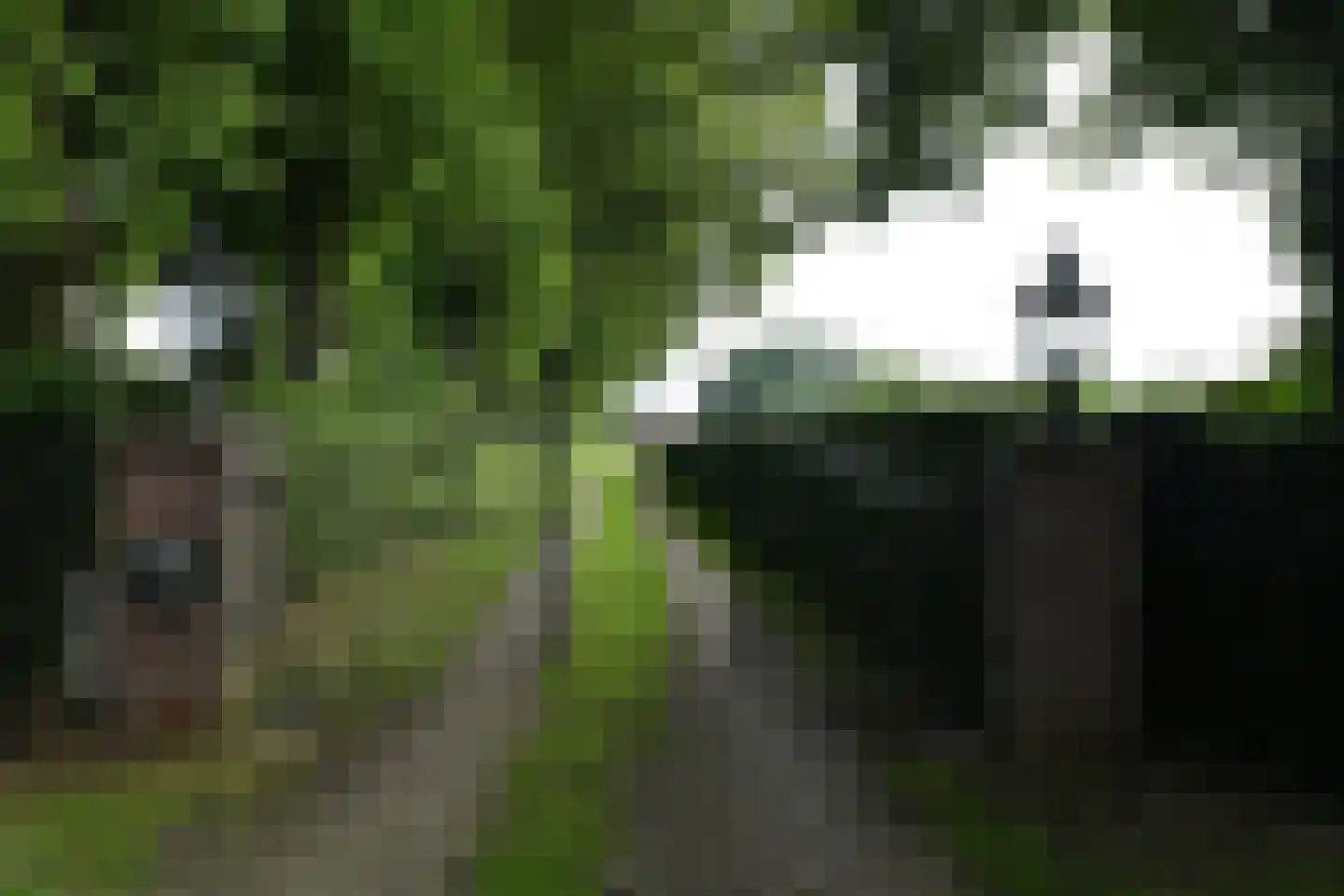 Rijksweg 44 A Drempt thumbnail 53