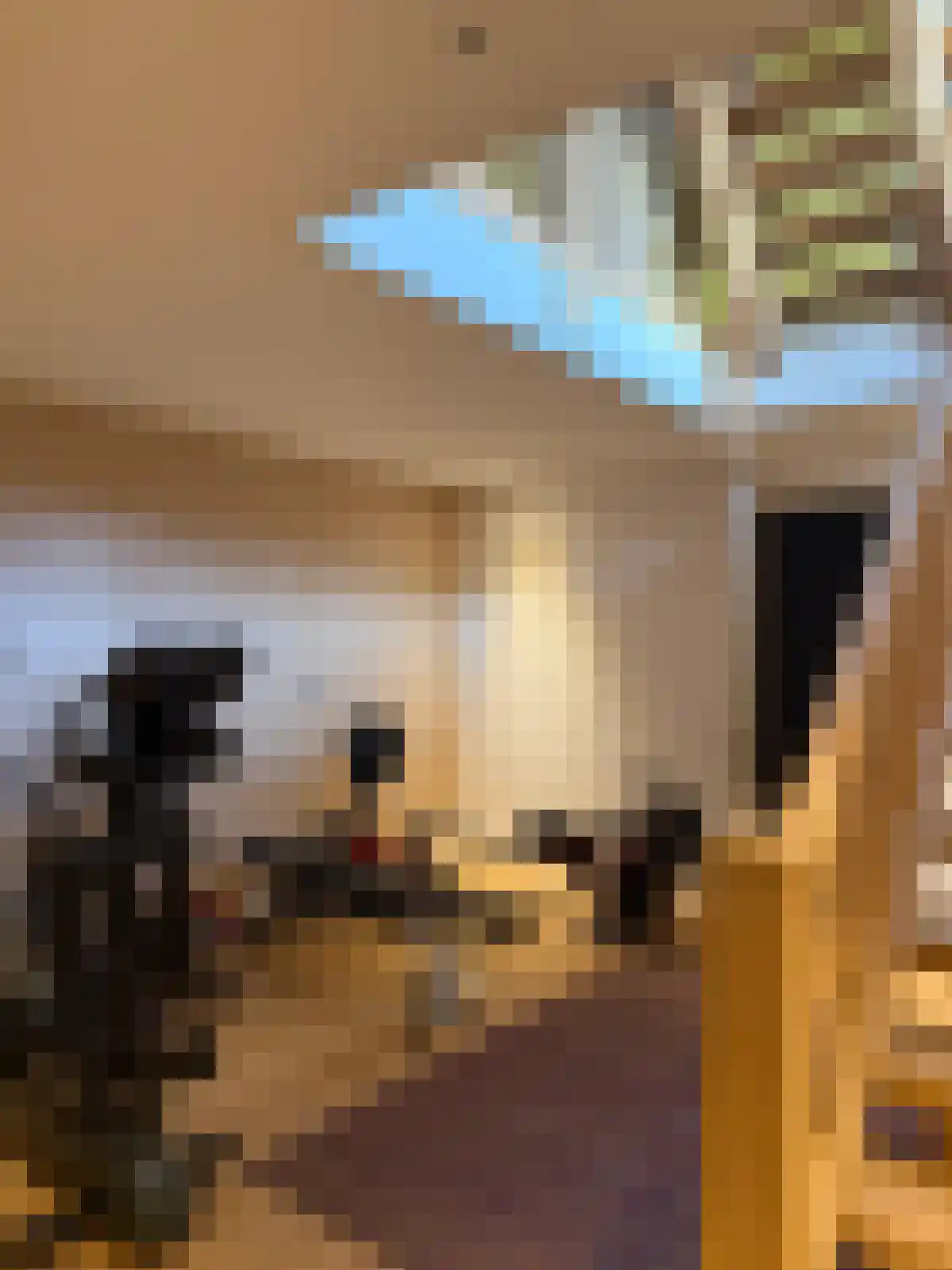 Rijksweg 44 A Drempt thumbnail 56
