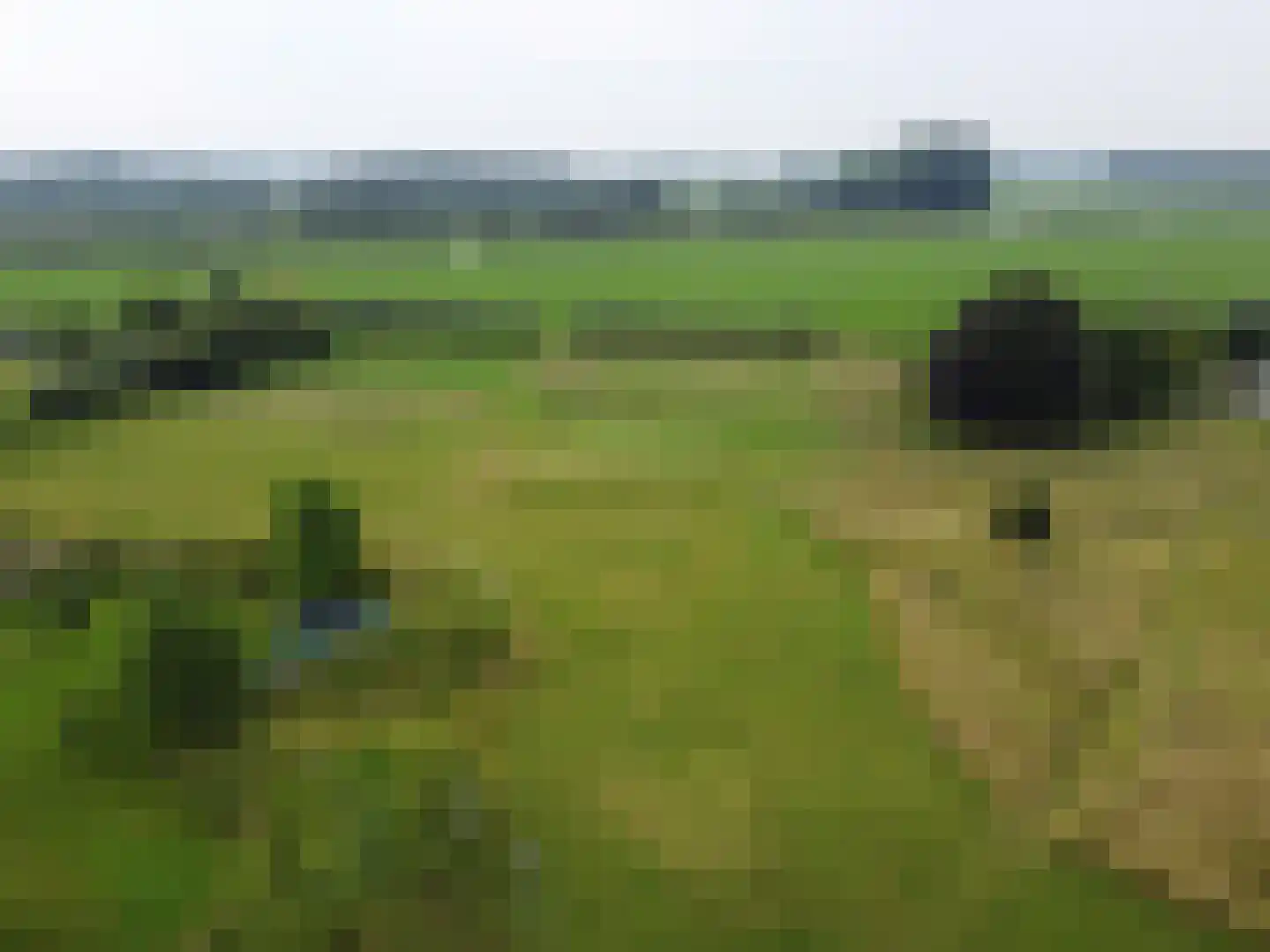 Rijksweg 44 A Drempt thumbnail 57