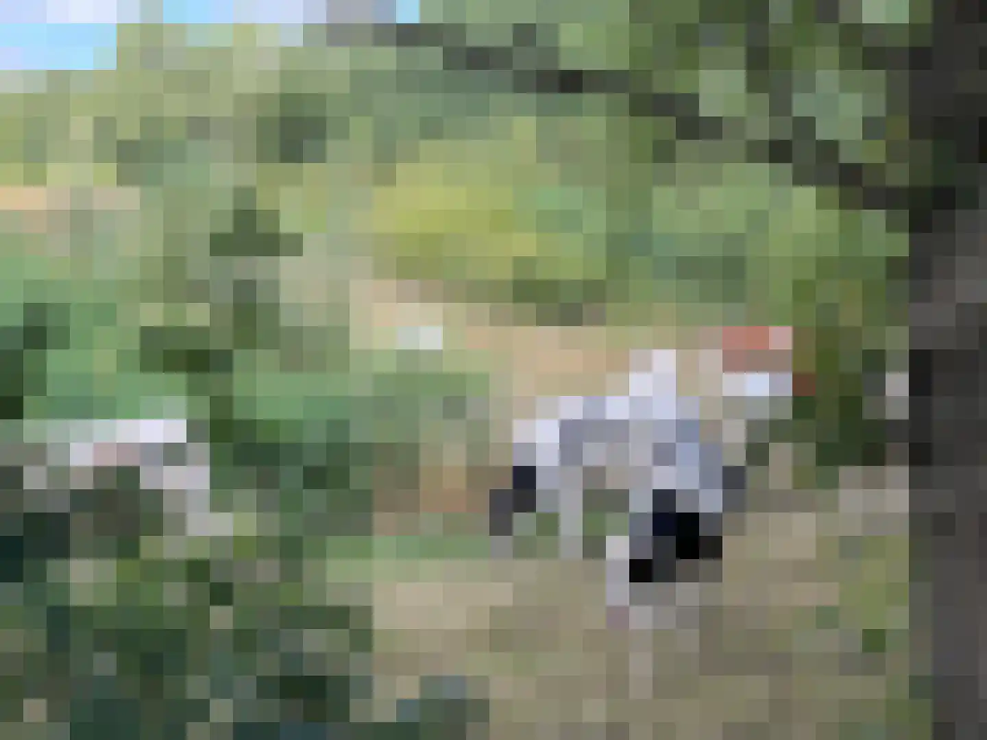 Rijksweg 44 A Drempt thumbnail 59