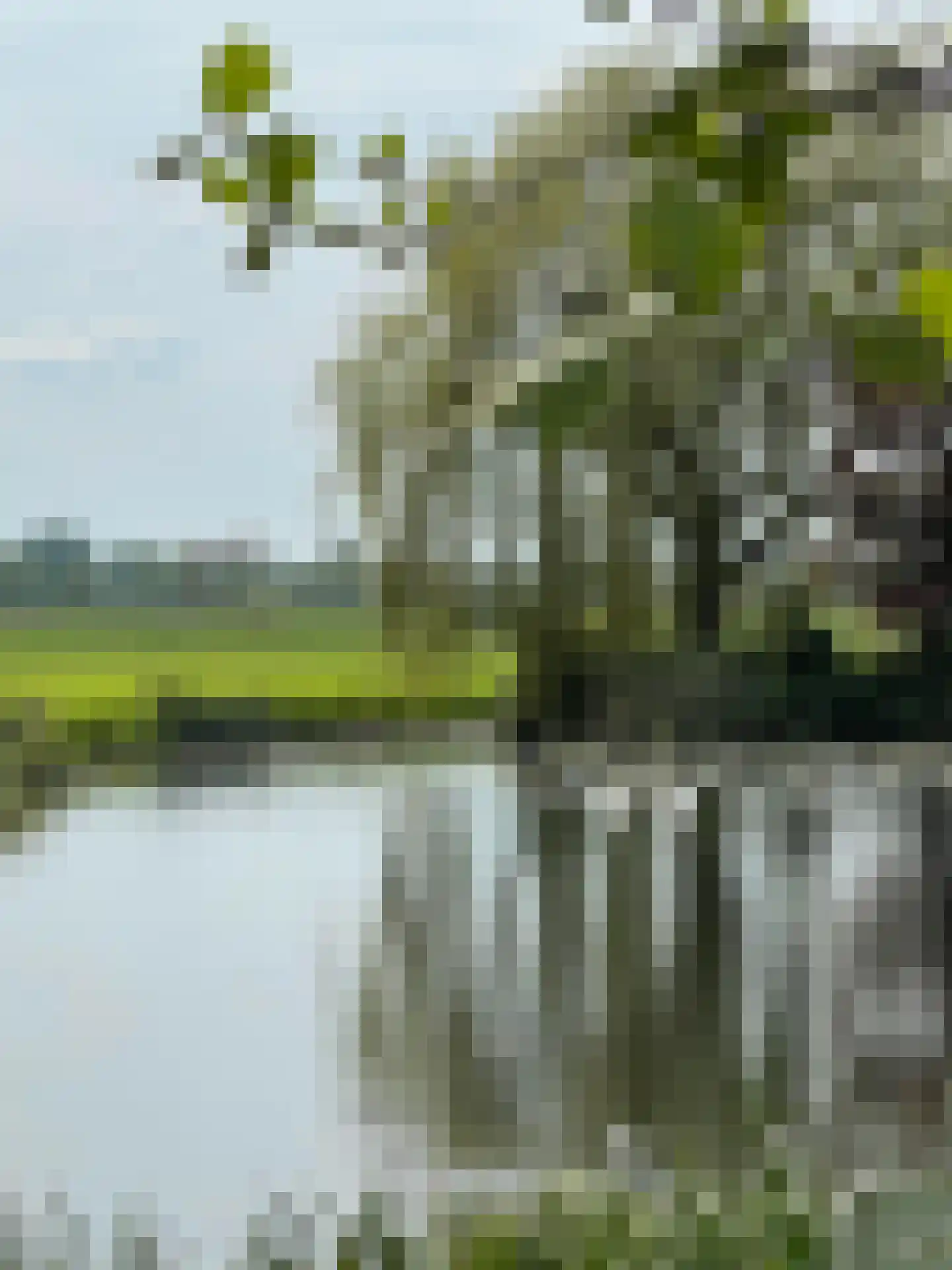 Rijksweg 44 A Drempt thumbnail 66