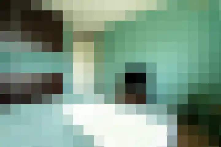 Rijksweg 45 g Limmen thumbnail 16