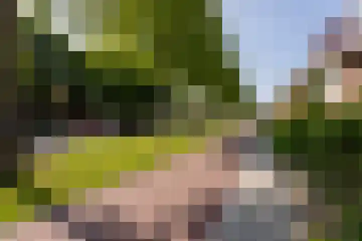 Rijksweg 45 g Limmen thumbnail 25