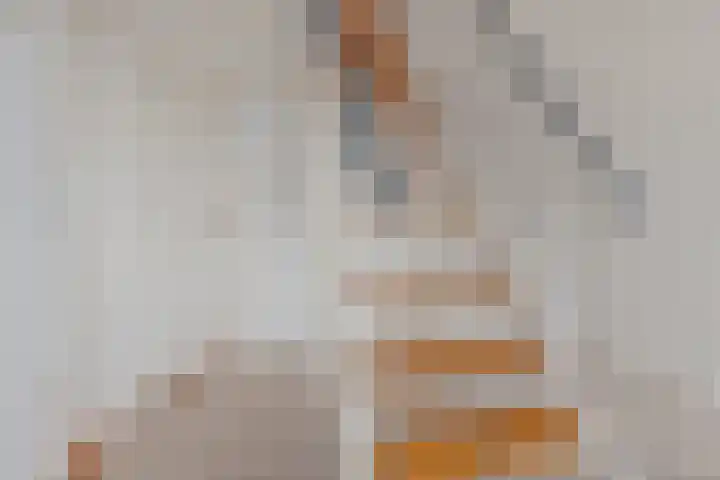 Rijksweg 45 Malden thumbnail 22