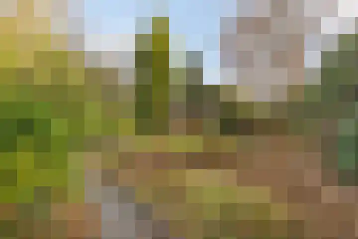Rijksweg 45 Malden thumbnail 37