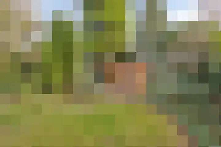 Rijksweg 45 Malden thumbnail 38