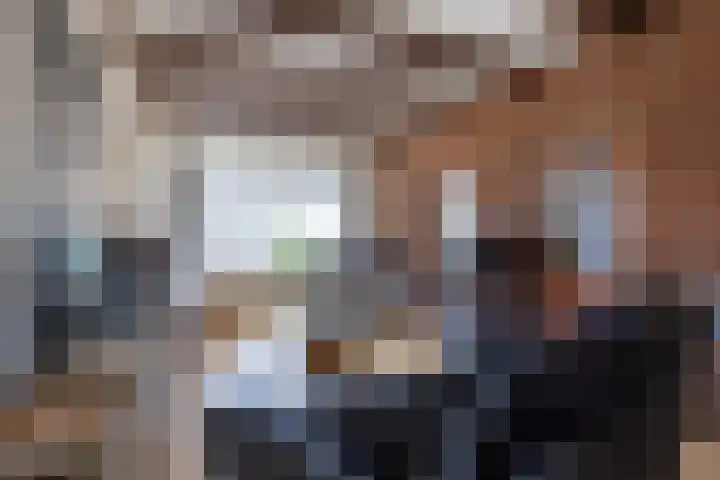 Rijksweg 45 Ten Boer thumbnail 12