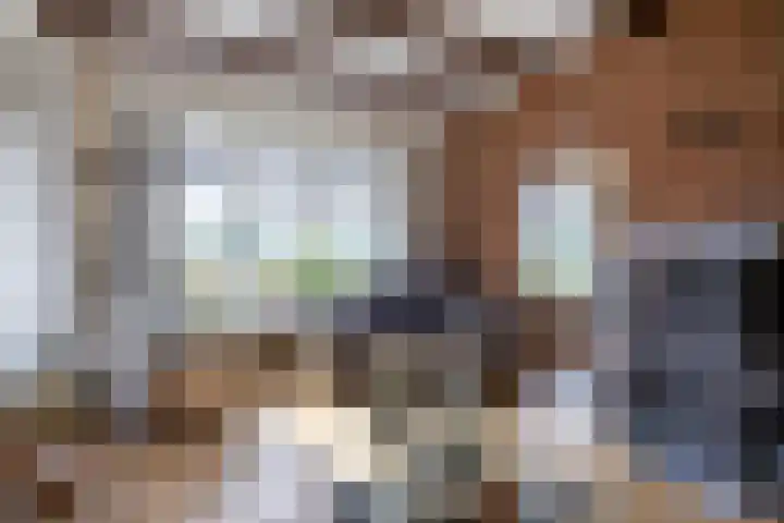 Rijksweg 45 Ten Boer thumbnail 13