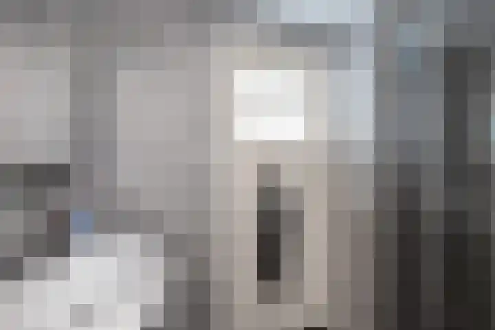 Rijksweg 45 Ten Boer thumbnail 28