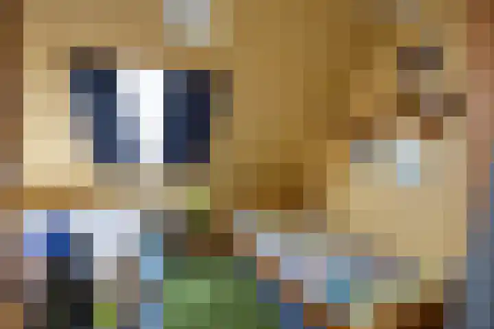 Rijksweg 45 Ten Boer thumbnail 33