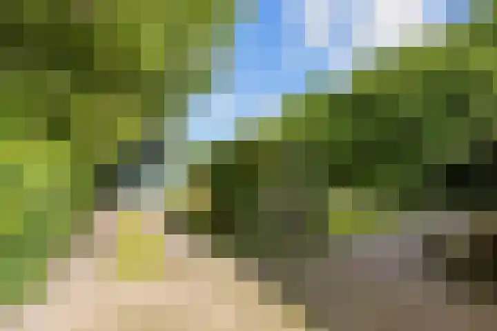 Rijksweg 45 Ten Boer thumbnail 39