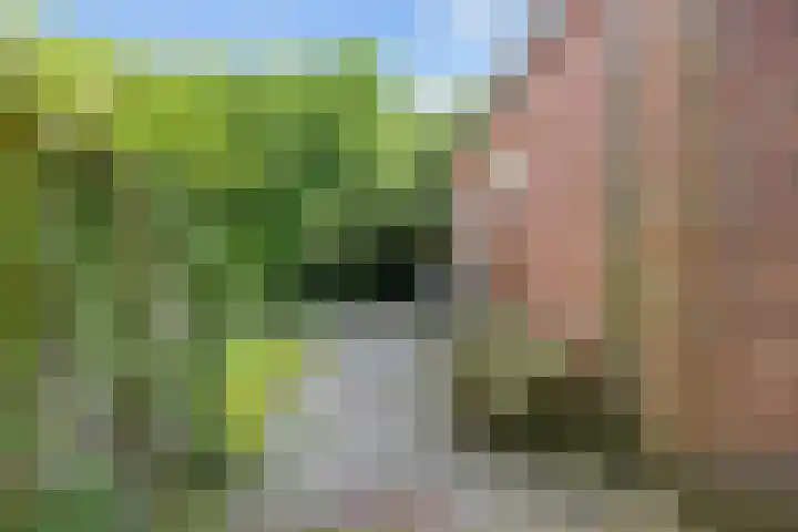 Rijksweg 45 Ten Boer thumbnail 40