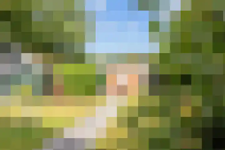 Rijksweg 45 Ten Boer thumbnail 41