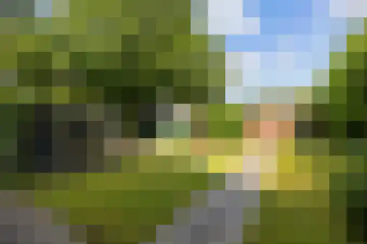 Rijksweg 45 Ten Boer thumbnail 42