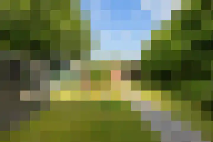Rijksweg 45 Ten Boer thumbnail 43